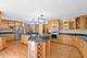 13815 S Janas, Homer Glen, IL 60491