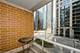 420 E Waterside Unit 207, Chicago, IL 60601