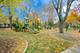 934 Gunderson, Oak Park, IL 60304