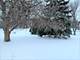 637 Big Timber Unit 637, Joliet, IL 60431