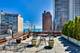 73 E Elm Unit 12C, Chicago, IL 60611