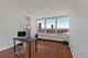 4800 S Chicago Beach Unit 907N, Chicago, IL 60615