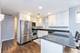 1043 W Wolfram Unit 2, Chicago, IL 60657