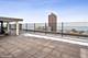 2930 N Sheridan Unit 312, Chicago, IL 60657