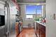 1305 S Michigan Unit 905, Chicago, IL 60605