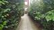 519 W Deming Unit 1S, Chicago, IL 60614