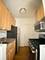 519 W Deming Unit 1S, Chicago, IL 60614