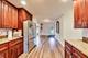 253 E North End, Elmhurst, IL 60126