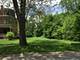 1036 Forest, Evanston, IL 60202