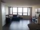 5100 N Marine Unit 20K, Chicago, IL 60640