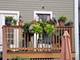 3925 N Albany, Chicago, IL 60618