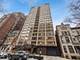 40 E Cedar Unit 11A, Chicago, IL 60611