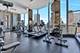 535 N Michigan Unit 2912, Chicago, IL 60611