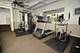 1117 N Dearborn Unit 705, Chicago, IL 60610
