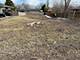 Lot 12 Ellis, Wheaton, IL 60187