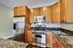 1510 N Wieland Unit 4, Chicago, IL 60610