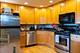 1133 W Grace Unit G, Chicago, IL 60613