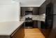 225 N Columbus Unit 5306, Chicago, IL 60601