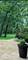 41505 N Pedersen, Antioch, IL 60002