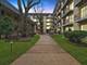 6221 N Niagara Unit 207, Chicago, IL 60631