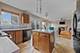 207 Paradise, Oswego, IL 60543