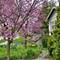 547 S Berkley, Elmhurst, IL 60126