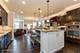 805 Voyage, Elgin, IL 60124