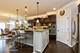 805 Voyage, Elgin, IL 60124