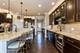 805 Voyage, Elgin, IL 60124