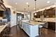 805 Voyage, Elgin, IL 60124