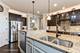 805 Voyage, Elgin, IL 60124