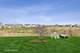 805 Voyage, Elgin, IL 60124