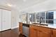 250 E Pearson Unit 1604, Chicago, IL 60611