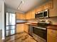405 N Wabash Unit 3009, Chicago, IL 60611