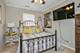 24910 Gates, Plainfield, IL 60585