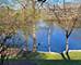 6021 Forest View Unit 2C, Lisle, IL 60532