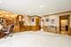 13551 S Doonaree, Homer Glen, IL 60491