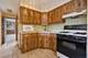 13551 S Doonaree, Homer Glen, IL 60491