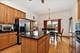 22651 Joshua, Frankfort, IL 60423