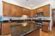 22651 Joshua, Frankfort, IL 60423