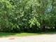 Lot 22 Elmwood, Crystal Lake, IL 60014