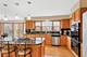 14 Pauline, Schaumburg, IL 60173