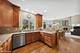 232 6th, Downers Grove, IL 60515