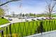 5540 Walnut Unit 4A, Downers Grove, IL 60515