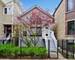 1541 W Nelson, Chicago, IL 60657