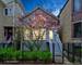 1541 W Nelson, Chicago, IL 60657