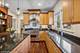 53 N Waiola, La Grange, IL 60525