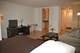 21 W Goethe Unit 17C, Chicago, IL 60610