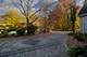 721 Chatfield, New Lenox, IL 60451