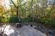 721 Chatfield, New Lenox, IL 60451
